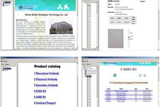 专业武汉影视制作与网站建设服务 全方位助力企业品牌发展