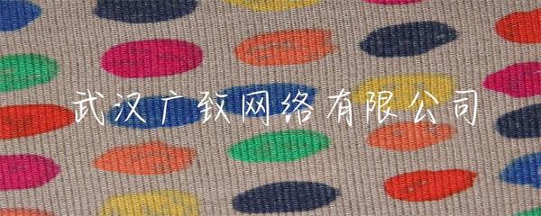 武汉广致网络 专业赋能，打造卓越的企业网站建设解决方案