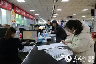 审批时间压缩60% 武汉临空港经开区工业建设项目“批前提速”促发展