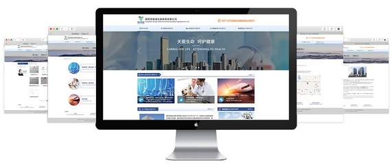 金百瑞科技助力国药控股集团官网成功升级，彰显武汉企业网站建设实力